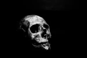 a human skull