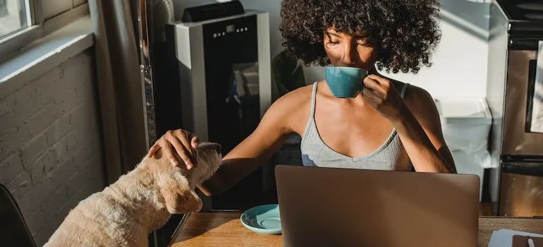 woman using laptop